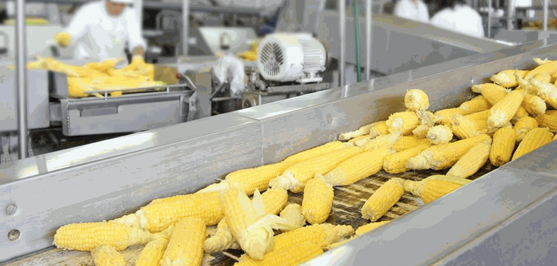 Food Industry Laser Cleaning & Texturing Allied Scientific Pro