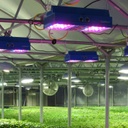 Smartphone Spectrometer for Agricultural Lighting &amp; Greenhouses; Lighting Passport!